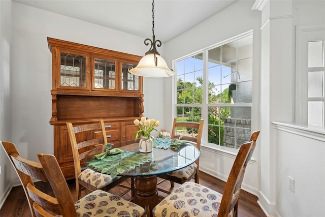 308 Hills Of Texas Trl, Georgetown, TX 78633 - dining area featuring dark wood-type flooring and baseboards