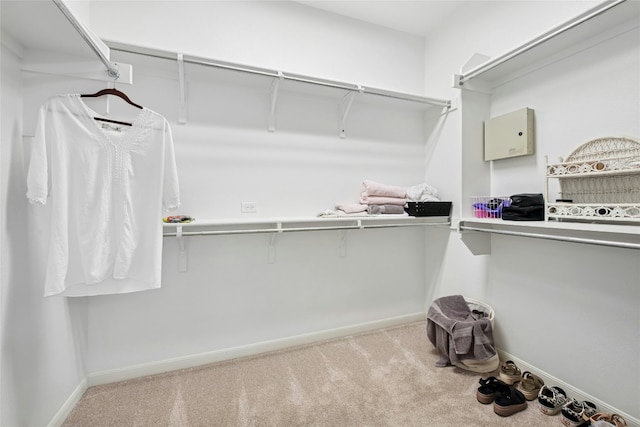 308 Hills Of Texas Trl, Georgetown, TX 78633 - walk in closet with carpet floors