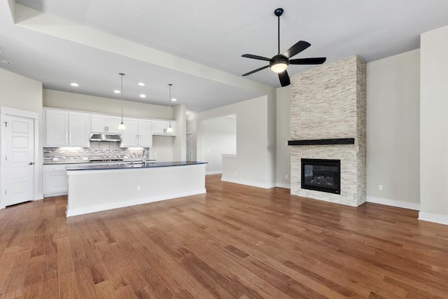 18716 Waltz Ct, Austin, TX 78738 - kitchen featuring open floor plan, white cabinets, wood finished floors, decorative backsplash, and recessed lighting