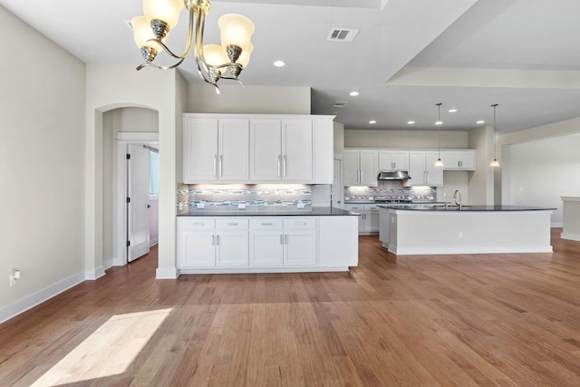 18716 Waltz Ct, Austin, TX 78738 - kitchen with dark countertops, under cabinet range hood, arched walkways, backsplash, and white cabinets