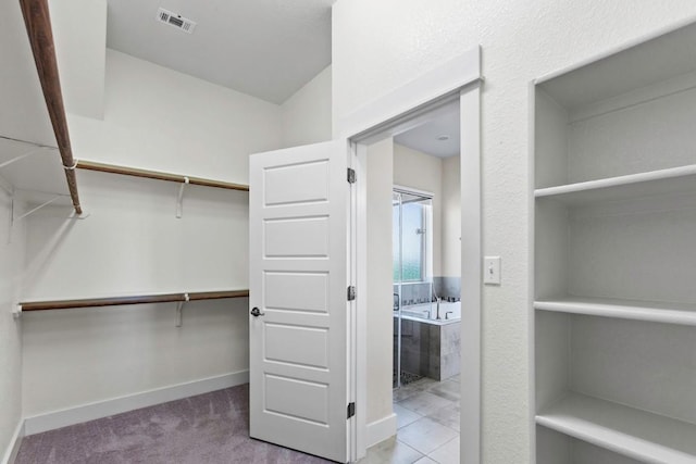 18716 Waltz Ct, Austin, TX 78738 - view of spacious closet