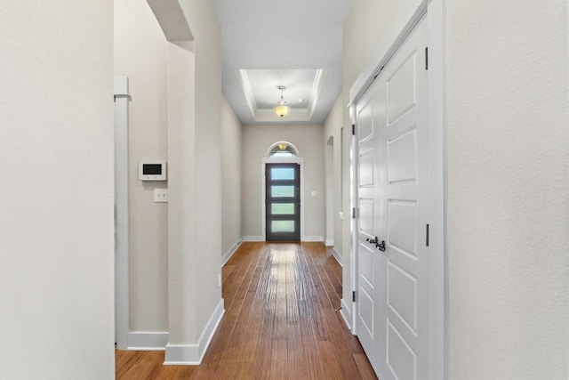 18716 Waltz Ct, Austin, TX 78738 - entryway featuring a tray ceiling, baseboards, and wood-type flooring