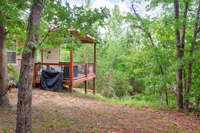 108 Kaliu Ct, Bastrop, TX 78602 - view of yard featuring a deck