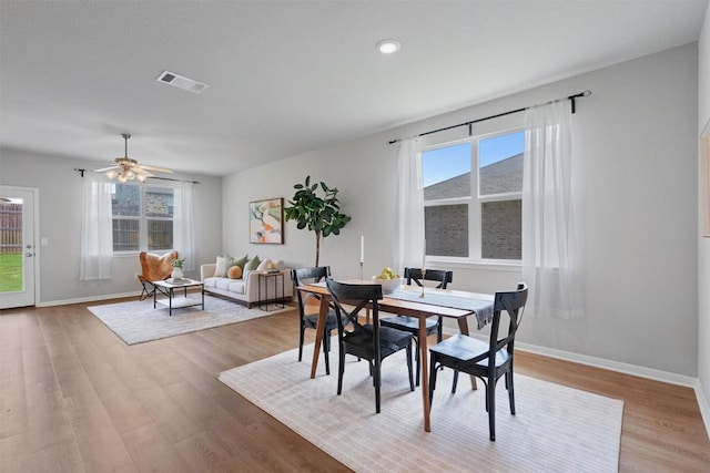 632 Otto Ave, Georgetown, TX 78626 - dining area featuring wood finished floors and a ceiling fan