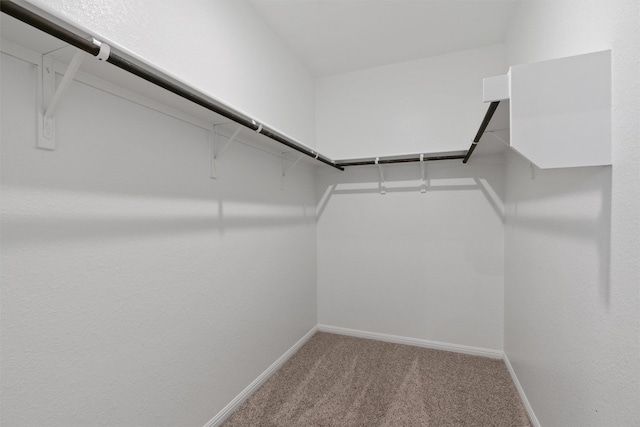 632 Otto Ave, Georgetown, TX 78626 - walk in closet with carpet flooring