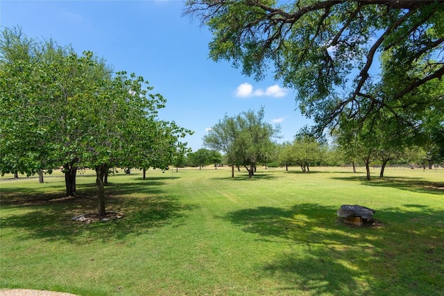 1265 Mourning Dove Ct, Salado, TX 76571 - view of property's community featuring a lawn