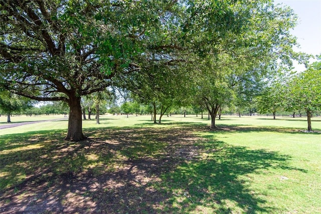 1265 Mourning Dove Ct, Salado, TX 76571 - view of grassy yard