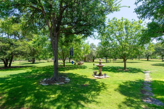 1265 Mourning Dove Ct, Salado, TX 76571 - view of community with a yard