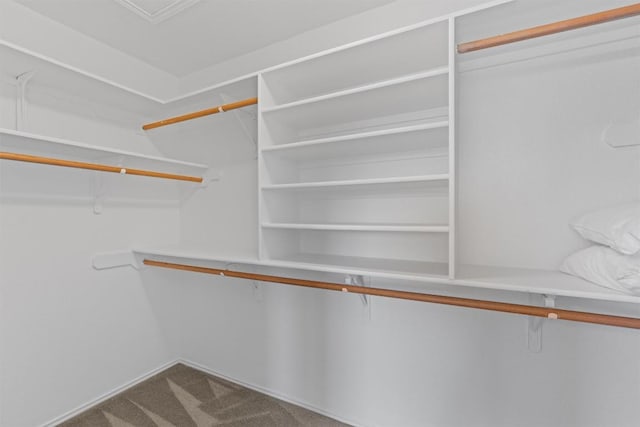 14708 Single Trce, Austin, TX 78728 - spacious closet with dark colored carpet