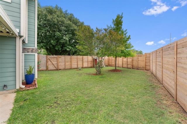 14708 Single Trce, Austin, TX 78728 - view of yard