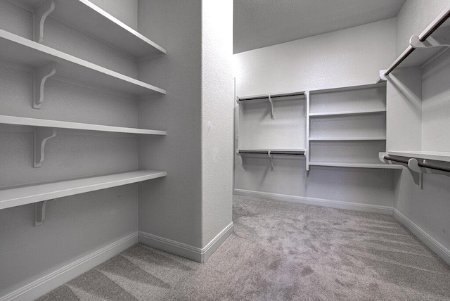 1916 Port Bari Ct, Leander, TX 78641 - spacious closet with carpet floors