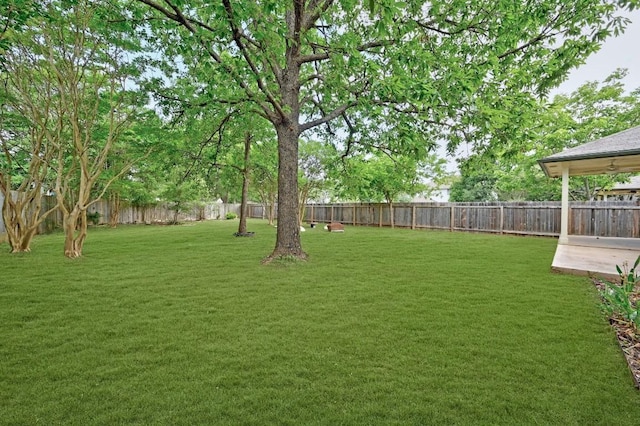4721 Tello Path, Austin, TX 78749 - photo 24