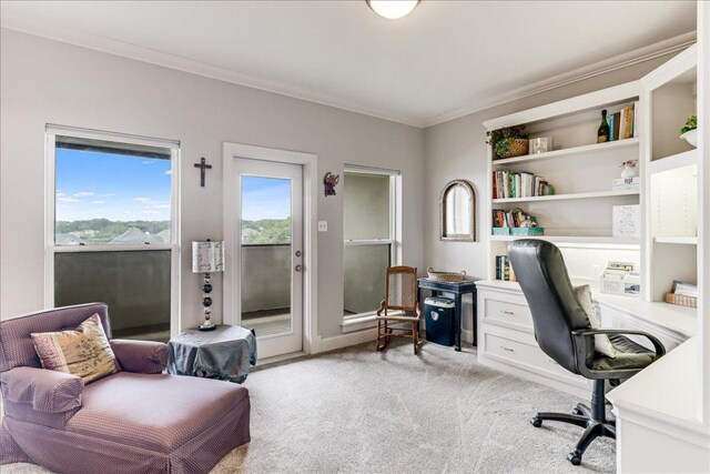 14722 Beal Dr, Corpus Christi, TX 78410 - office with light colored carpet and ornamental molding