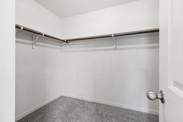 1105 Hawkeye Point Rd, Georgetown, TX 78626 - walk in closet with carpet floors