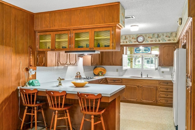 3503 Carla Dr, Austin, TX 78754 - kitchen featuring freestanding refrigerator, a peninsula, brown cabinetry, light countertops, and tasteful backsplash