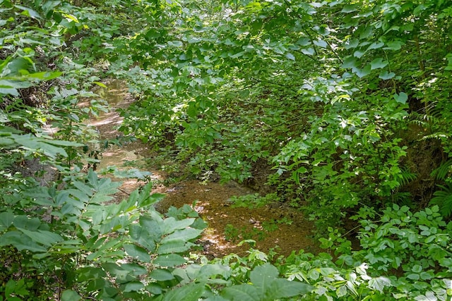 3503 Carla Dr, Austin, TX 78754 - view of nature