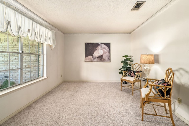 3503 Carla Dr, Austin, TX 78754 - sitting room featuring carpet flooring and a textured ceiling
