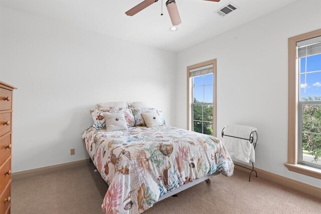 8212 Denali Pkwy, Austin, TX 78726 - bedroom with carpet, multiple windows, and ceiling fan