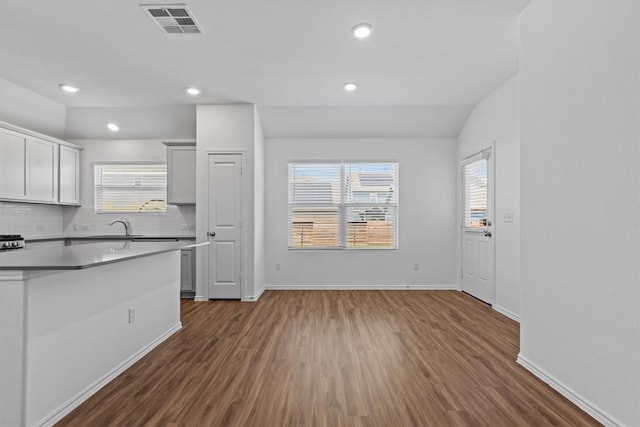 241 Madrid, Kyle, TX 78640 - kitchen with dark wood-style flooring, healthy amount of natural light, baseboards, recessed lighting, and vaulted ceiling