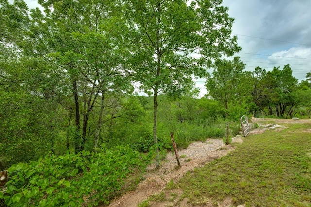 1608 Susan Dr, Austin, TX 78734 - view of yard