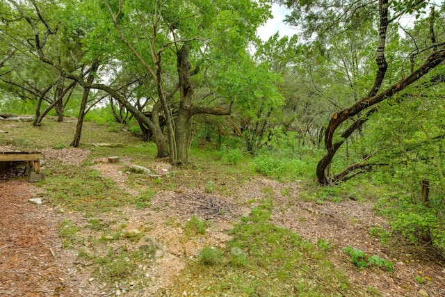 1608 Susan Dr, Austin, TX 78734 - view of woods