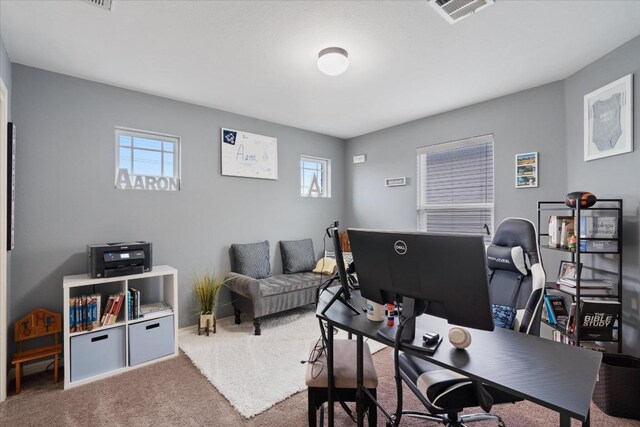 5627 Sabbia Dr, Round Rock, TX 78665 - home office featuring healthy amount of natural light and carpet
