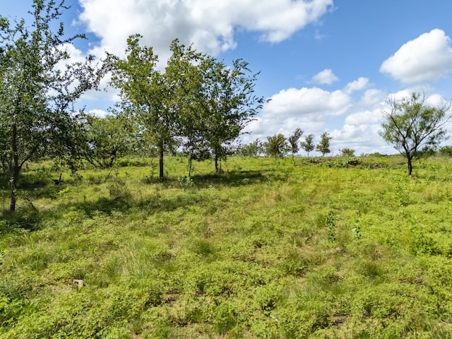 3280 County Road 466th Rd, Elgin, TX 78621