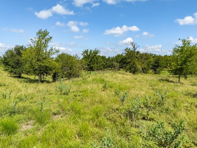 3280 County Road 466th Rd, Elgin, TX 78621