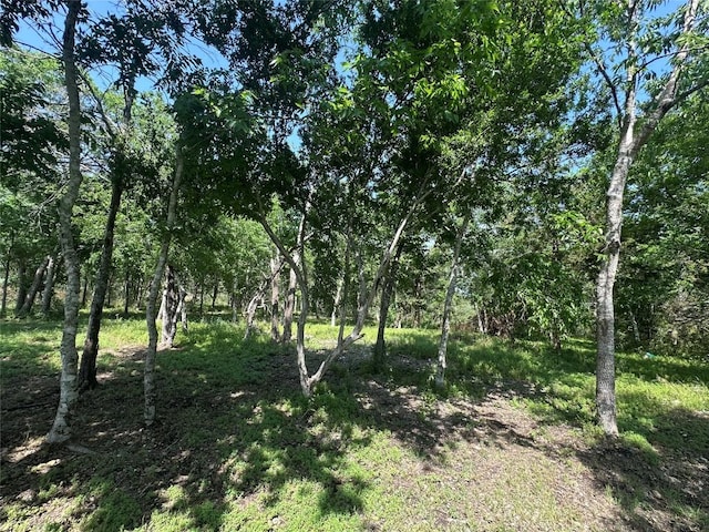 1800SCULLRD Scull Rd, San Marcos, TX 78666 - photo 7