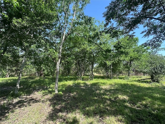 1800SCULLRD Scull Rd, San Marcos, TX 78666 - photo 8