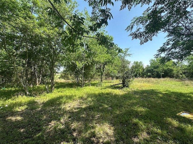 1800SCULLRD Scull Rd, San Marcos, TX 78666 - photo 9