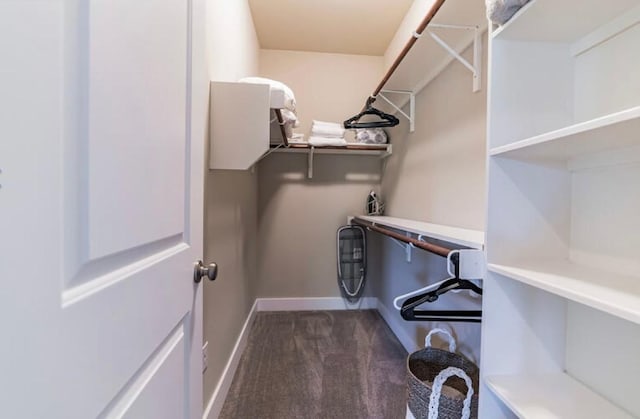 4301 Mansfield Dam Rd Unit 1102, Austin, TX 78734 - walk in closet featuring dark colored carpet