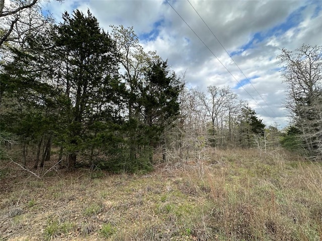 547 S Old Potato Dr, Paige, TX 78602