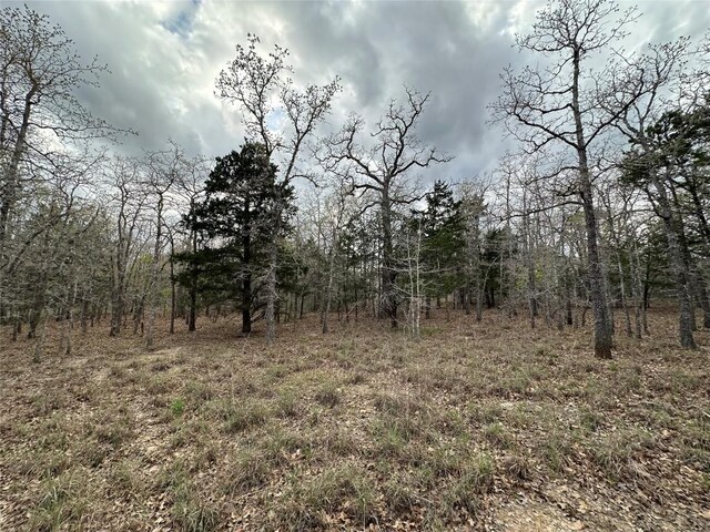 547 S Old Potato Dr, Paige, TX 78602