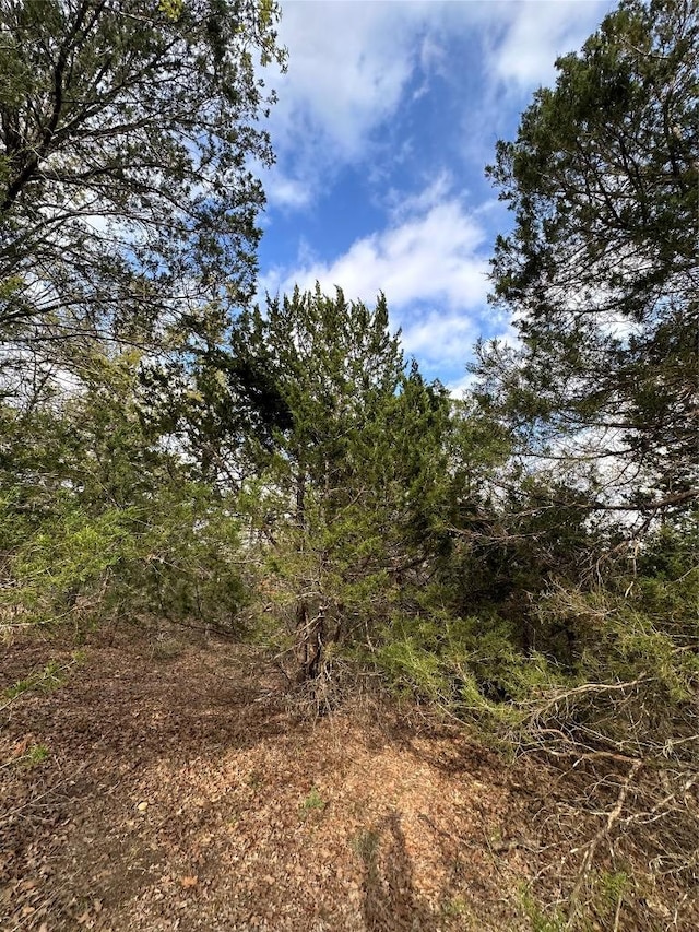 547 S Old Potato Dr, Paige, TX 78602
