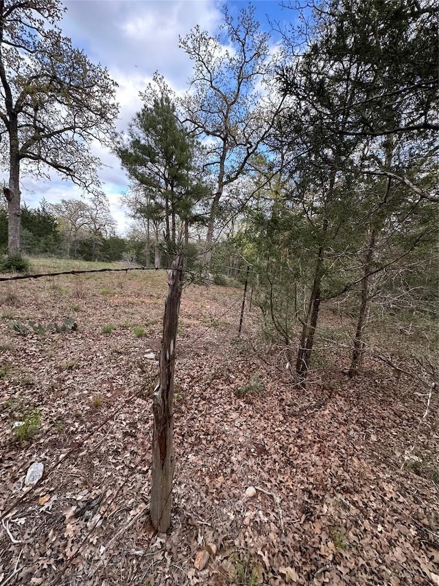 547 S Old Potato Dr, Paige, TX 78602