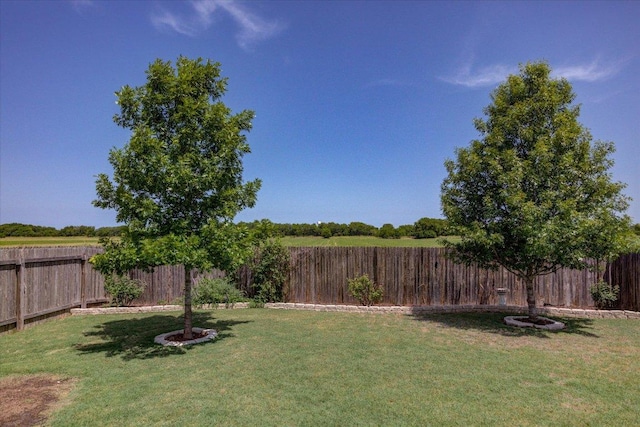 1519 Shenandoah Cv, Lockhart, TX 78644 - view of yard