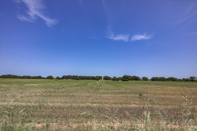 1519 Shenandoah Cv, Lockhart, TX 78644 - view of undeveloped land with rural landscape