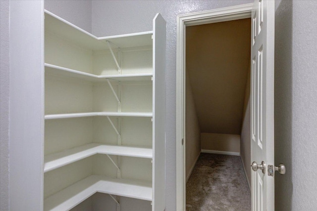 1519 Shenandoah Cv, Lockhart, TX 78644 - view of pantry
