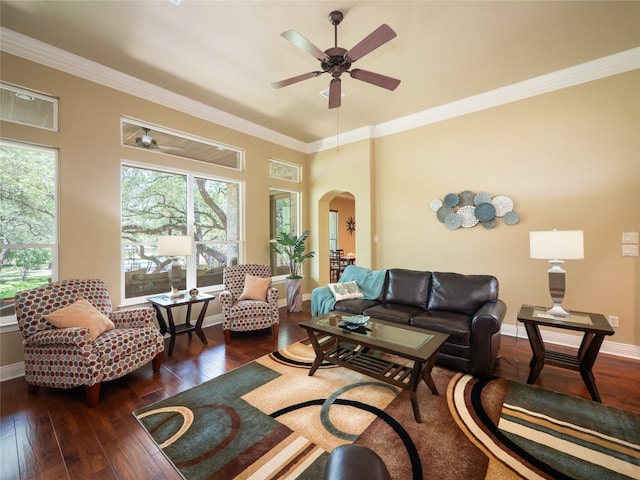 104 E Rustle Cv, Georgetown, TX 78628 - living area with arched walkways, ceiling fan, wood-type flooring, ornamental molding, and baseboards