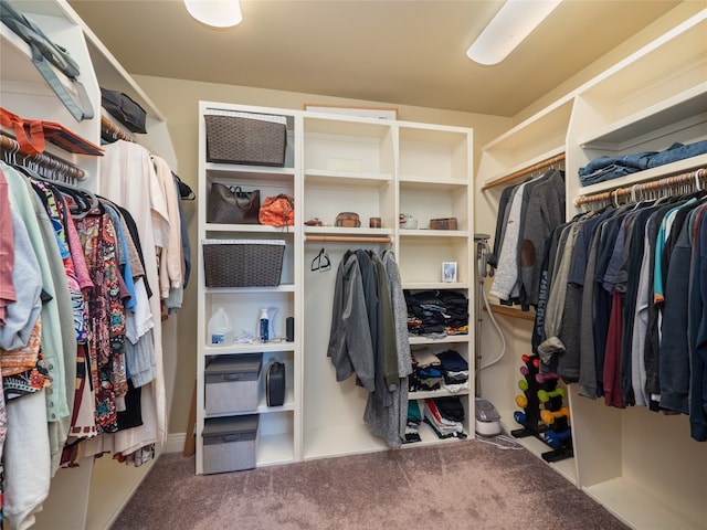 104 E Rustle Cv, Georgetown, TX 78628 - spacious closet featuring carpet floors
