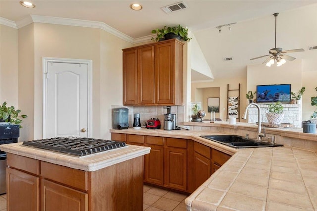 13612 Bullick Hollow Rd, Austin, TX 78726 - photo 9