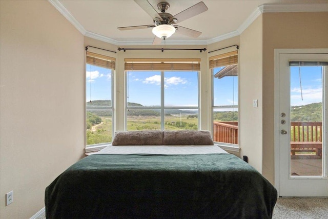 13612 Bullick Hollow Rd, Austin, TX 78726 - photo 17