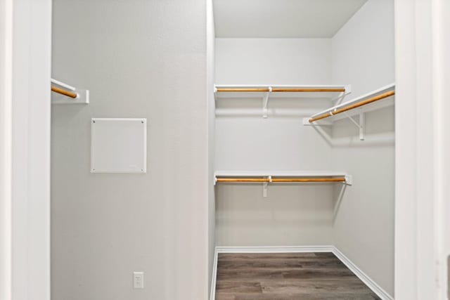 1012 Chad Loop, Round Rock, TX 78665 - walk in closet featuring wood finished floors