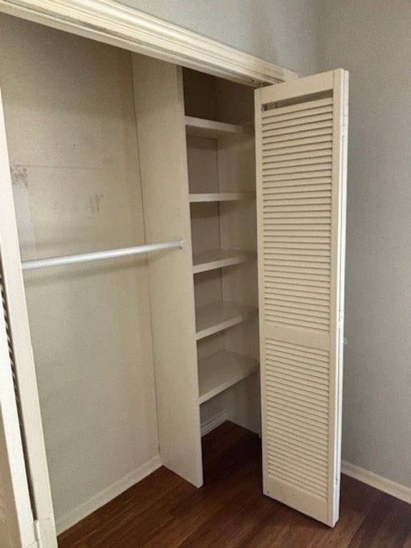 307 Quarry St, San Marcos, TX 78666 - view of closet
