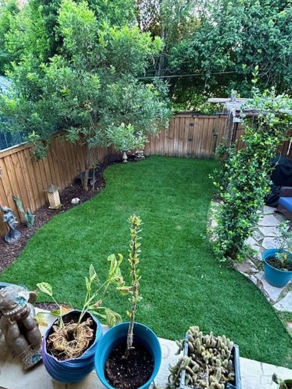 307 Quarry St, San Marcos, TX 78666 - view of fenced backyard