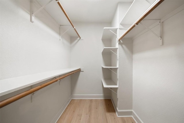 2012 Mimosa Trl, Round Rock, TX 78664 - walk in closet featuring light wood-style floors