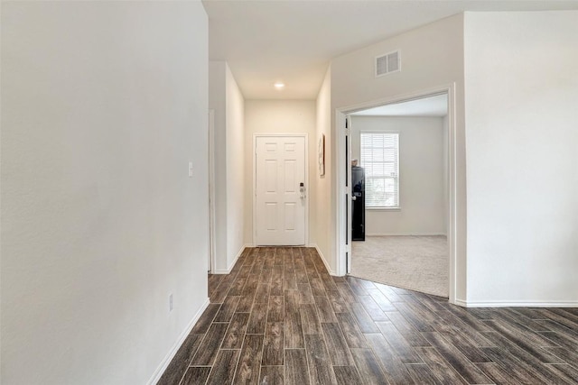 104 Black Alder St, Georgetown, TX 78626 - photo 8