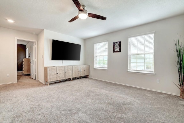 104 Black Alder St, Georgetown, TX 78626 - photo 34
