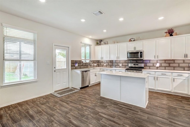 104 Black Alder St, Georgetown, TX 78626 - photo 17